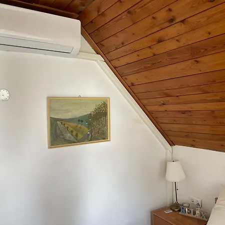 Topart Vendeghaz Balatongyoeroek, Lakeside House Prázdninový dům *